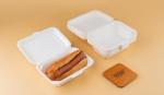 Eco-Friendly Sugarcane Clamshell Takeaway Boxes - 50pcs
