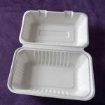 100 Pack Eco-Friendly Bagasse Takeaway Boxes