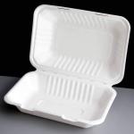 100 Pack Eco-Friendly Bagasse Takeaway Boxes