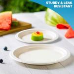 Eco-Friendly 10-Inch Heavy Duty Disposable Plates 50ct