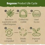 Takeaway Fish & Chips Containers with Lids - 50 Pack