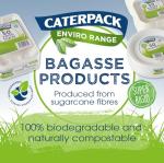 Biodegradable Burger Boxes - 50 Pack