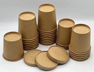 Brown Kraft Disposable 16oz Soup Cups with Lids