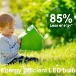 Paul Russell's 13W Bayonet Cap LED Light Bulbs