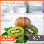 Paul Russell's 13W Bayonet Cap LED Light Bulbs