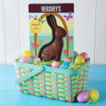 HERSHEY'S Milk Chocolate Bunny Gift Box, 14 oz