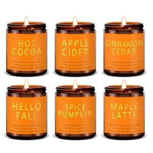 Cozy Fall and Christmas Soy Candles Set