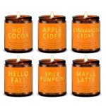Cozy Fall and Christmas Soy Candles Set