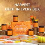 Cozy Fall and Christmas Soy Candles Set