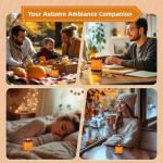 Cozy Fall and Christmas Soy Candles Set