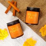 Cozy Fall and Christmas Soy Candles Set