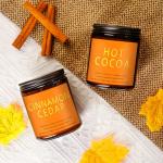 Cozy Fall and Christmas Soy Candles Set