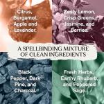 Harry Potter Body Wash Gift Set - 4 Soothing Scents