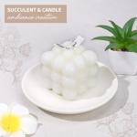 Cozy Care Package: Gifts for Every Occasion