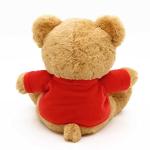 Personalized "I Love You" Teddy Bear