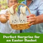 Joyful Easter Nuts Gift Basket with Bunny Bags