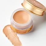 SKINFOOD Salmon Concealer Cream for Dark Circles