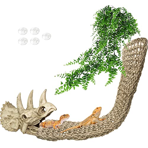 Bearded Dragon Dinosaur Skull Hammock - Reptile Accessories