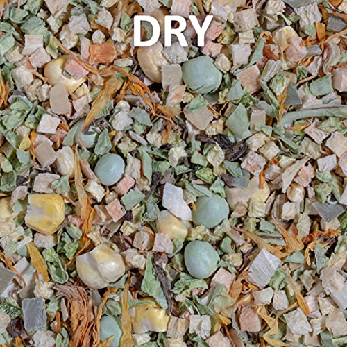 Instant Meal Veggie Mix for Bearded Dragons