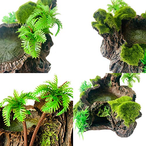 Resin Platform for Bearded Dragon Tank Decoration