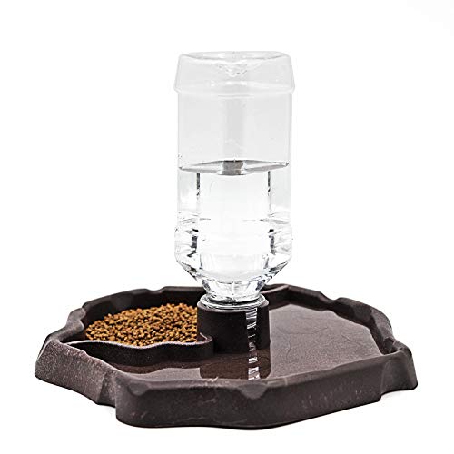 MACGOAL Reptile Food and Water Bowl with Bottle