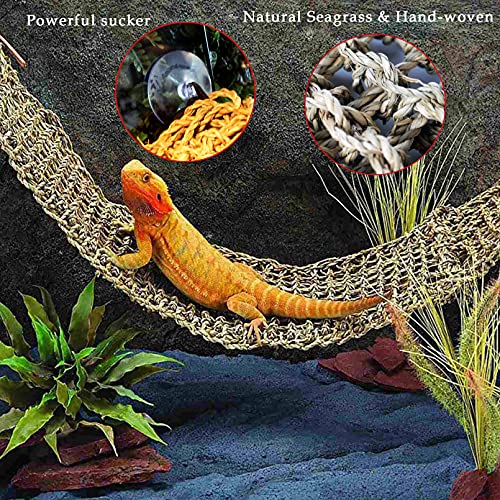 Versatile Reptile Habitat Decor for Bearded Dragons