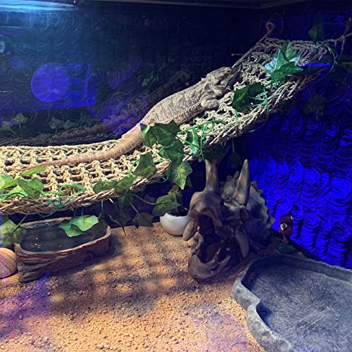 Bearded Dragon Tank Decoration: Resin Dinosaur Skull