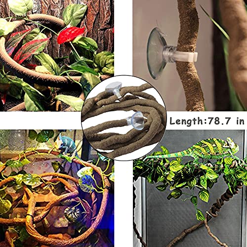 Versatile Reptile Habitat Decor for Bearded Dragons