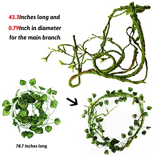 Bearded Dragon Accessories: Plants, Hanging Vines, Toys, Tank