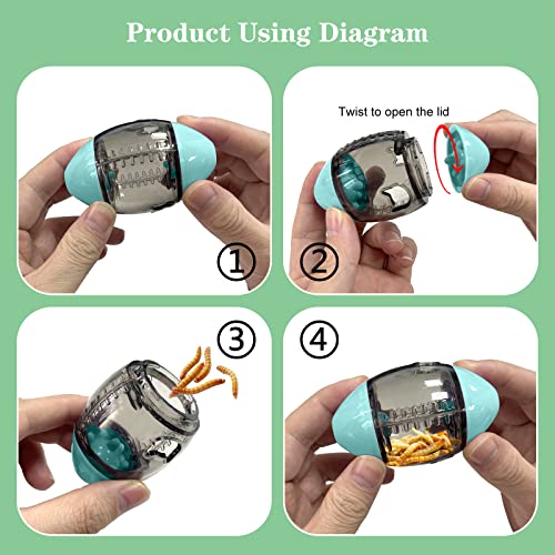 Interactive Rugby Lizard Feeder Toys for Bearded Dragons