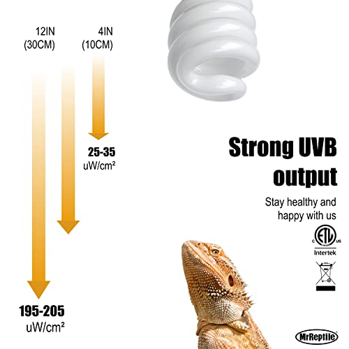 Desert Bearded Dragon UVB Light 26W