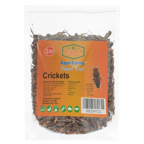 Natural Dried Mealworms and Crickets for Bearded Dragons