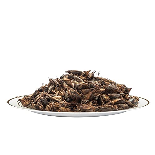 Natural Dried Mealworms and Crickets for Bearded Dragons