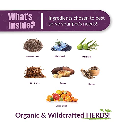 Reptaid XL Herbal Supplement for Small Reptiles