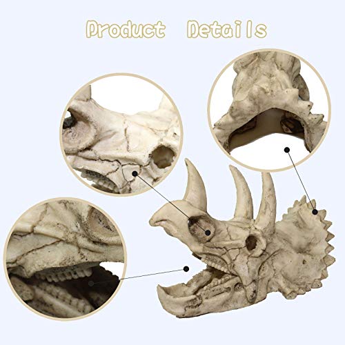 Bearded Dragon Dinosaur Skull Hammock - Reptile Accessories