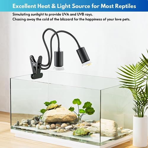 Dual Heat Lamp for Bearded Dragon and Reptiles