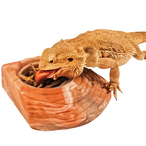 Healthy Herp Dragon Treats - Grasshoppers, 0.56-Ounce