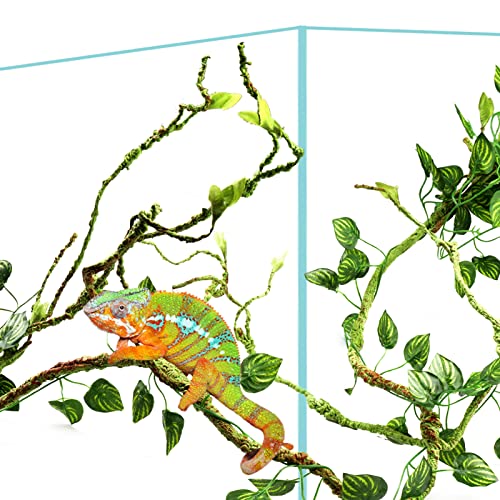 Bearded Dragon Accessories: Plants, Hanging Vines, Toys, Tank