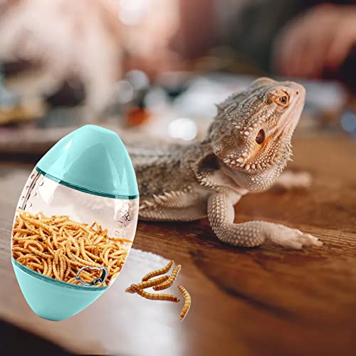 Interactive Rugby-Shaped Lizard Feeder Toys