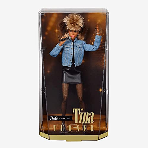 Tina Turner Barbie Doll: ‘90s Fashion and Accessories