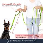 Plutus Double Handle Reflective Dog Leash 6ft