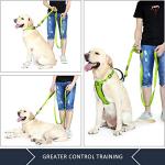Plutus Double Handle Reflective Dog Leash 6ft