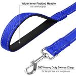 6FT Reflective Dog Leash with Padded Handle