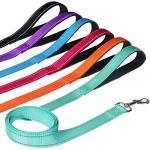 6FT Reflective Dog Leash with Padded Handle