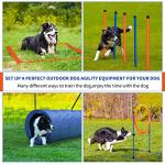 60-Piece Dog Agility Training Obstacle Course Set