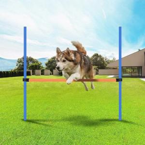 PAWISE Dog Agility Training Set with Hurdles
