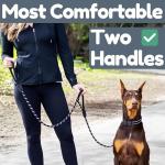 6 Ft Heavy Duty Dog Leash with Padded Handles