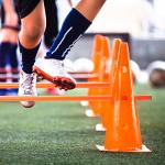 Bramble Speed Agility Training Hurdles Set