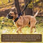 Reflective Adjustable Martingale Dog Collar, Purple