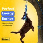 Petbobi Bungee Tug Toy for Large Dogs